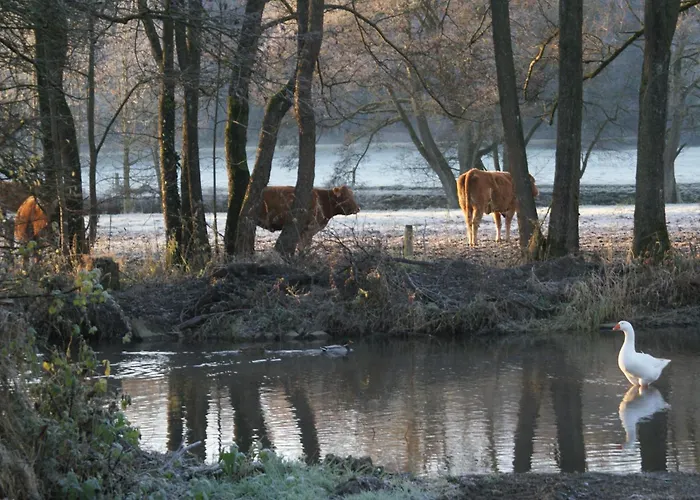 Le Gite De L Ourthe