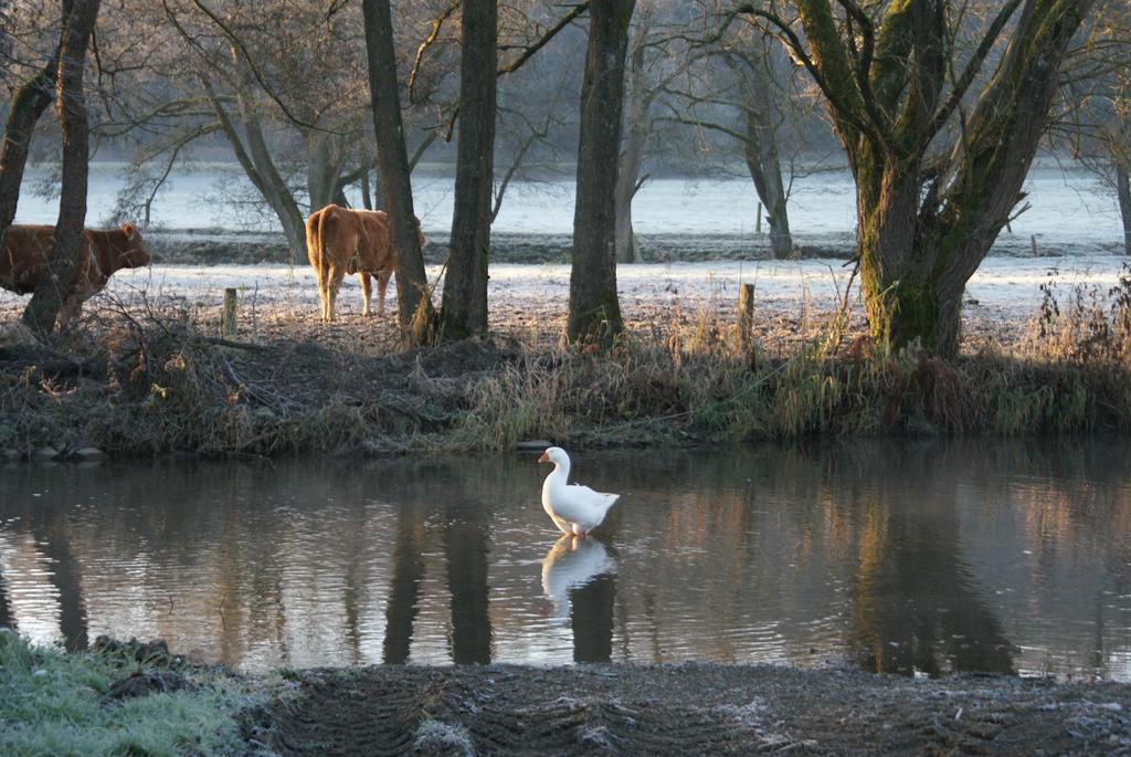 Le De L Ourthe Casa vacanze *